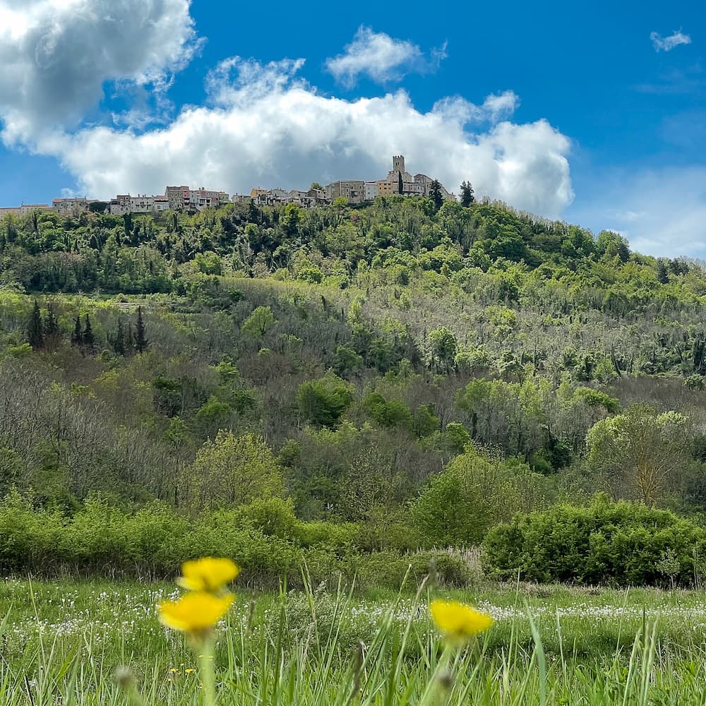Hilltop village Motovun must visit highlight Istria